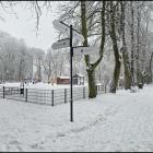 zdjęcie nr 47