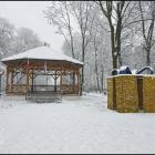 zdjęcie nr 41