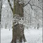 zdjęcie nr 38