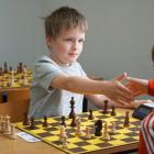 zdjęcie nr 43