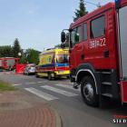 Fotka nr 3 z 19