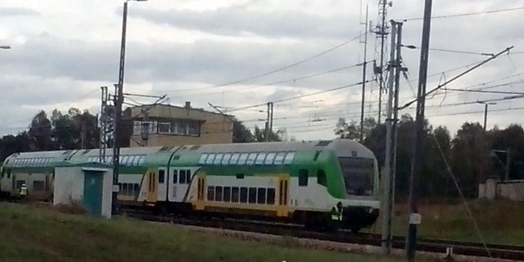fot. Internauta - fot. 