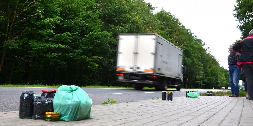 Tragedia sprzed dwóch lat nie odstraszyła handlujących jagodami przy trasie krajowej nr 17. (fot. łk) - fot. 