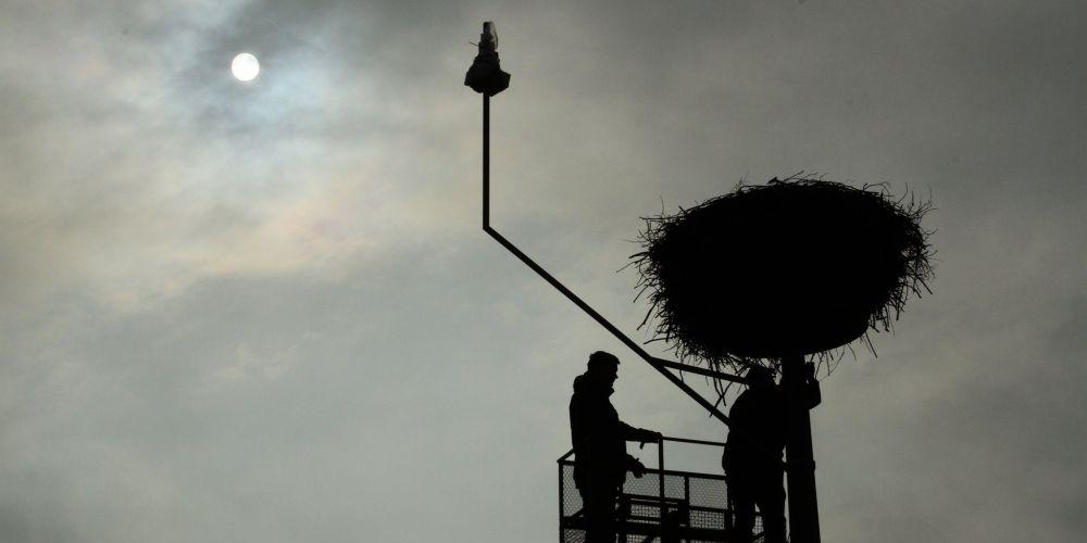 Kamera już jest, teraz wszyscy czekamy na bociany fot. Grupa EKOlogiczna - fot. fot. Grupa EKOlogiczna