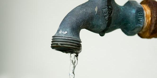 http://pl.freeimages.com/ - fot. 