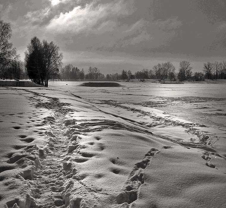 fot. Michał Kurc - fot. 
