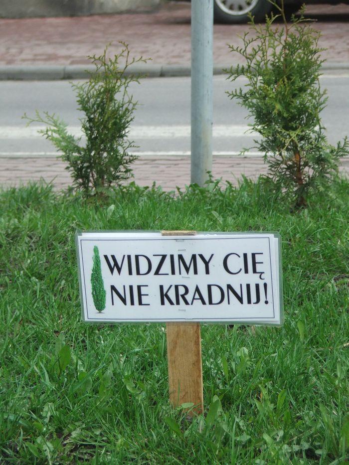  - fot. 