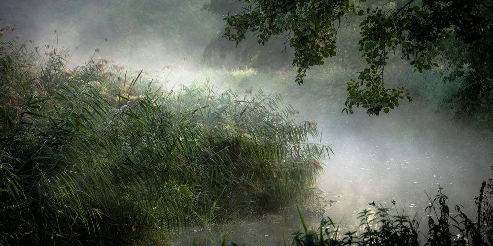 fot. Wiesław Kościukiewicz - fot. fot. Wiesław Kościukiewicz