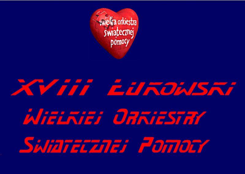 Obraz Intro ze strony internetowej Sztabu WOŚP działającego przy OSiR-ze. Repr. PGL - fot. 