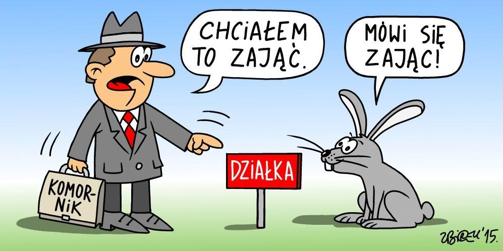 rys. M. Andrzejewski - fot. 