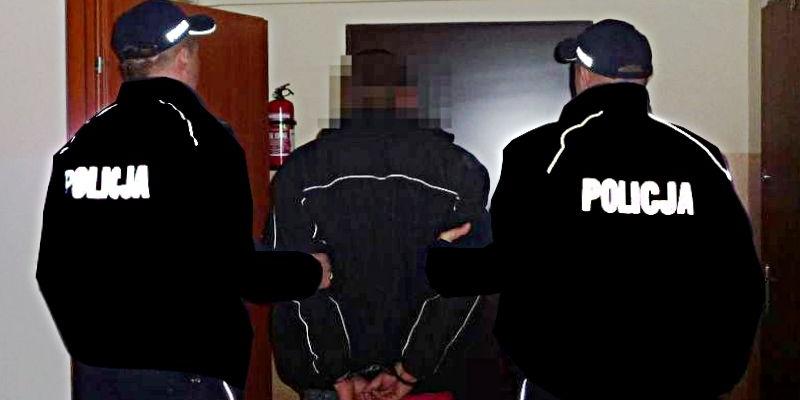 Zatrzymany 21-latek z gm. Stoczek Węgrowski. Fot. Arch. KPP w Łochowie - fot. 