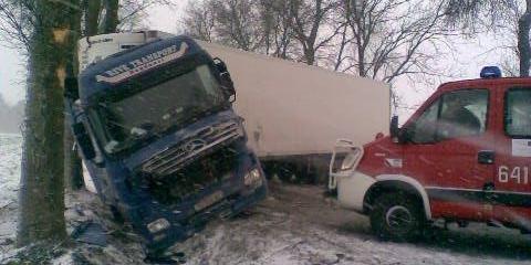 fot. S. Tomaszewski - fot. 