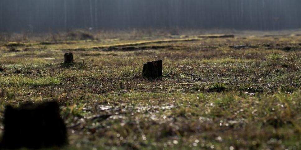 Fragment jednej z prezentowanych fotografii Natalii Zalewskiej - fot. 