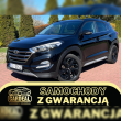 zdjęcie nr 