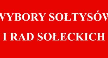 Wybory na sołtysów