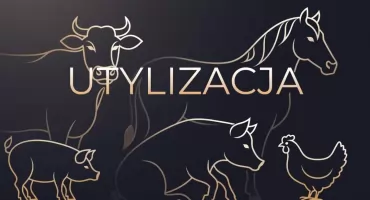 Rozbudowa strefy przemysłowej w gminie Skórzec? Mieszkańcy protestują!