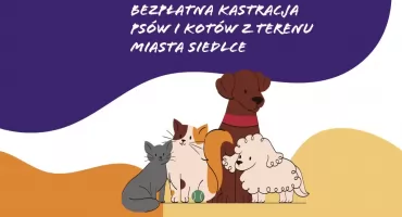 Bezpłatna kastracja psów i kotów w Siedlcach