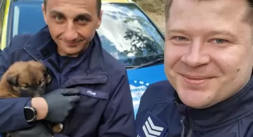 Łosiccy policjanci uratowali pięć maleńkich szczeniąt porzuconych w lesie