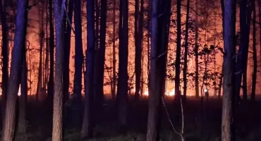 Ponad 100 hektarów lasu w ogniu. Trwa jedna z największych akcji gaśniczych na Mazowszu