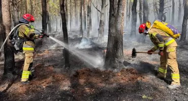 300 hektarów lasu w ogniu. Mieszkańcy ewakuowani, ponad 800 strażaków nadal walczy z żywiołem
