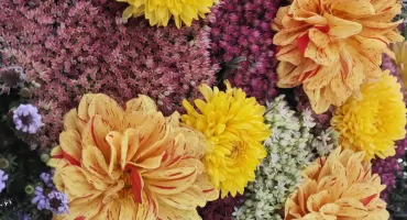 Najdroższe i najrzadsze kwiaty świata, których nie można kupić. Krótki przewodnik po botanicznych skarbach