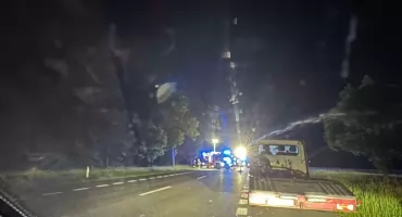 Zderzenie z łosiem na DK2. Kierowca trafił do szpitala
