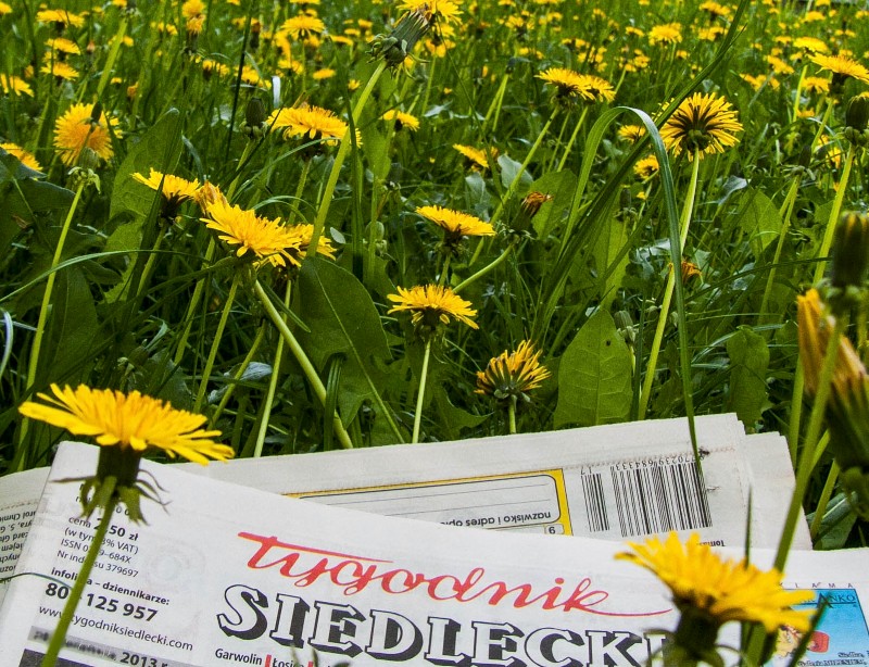 „Tygodnik Siedlecki” - Obowiązkowa Lektura Na Trudne Czasy! - Tygodnik ...